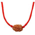 Natural Certified Nepali Rudraksha (Pack of 1)